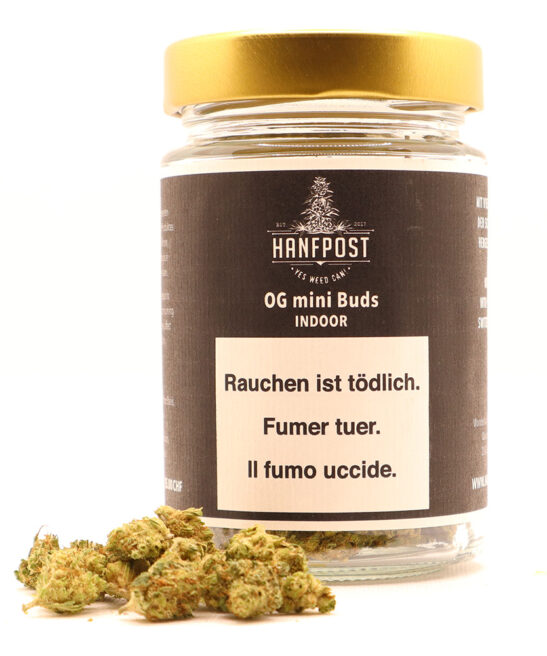 Indoor Schweizer Cbd Onlineshop Hanfpost