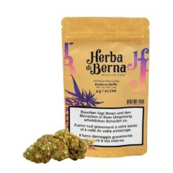 Herba di Berna - Muffin aux Myrtilles Intérieur - 4g