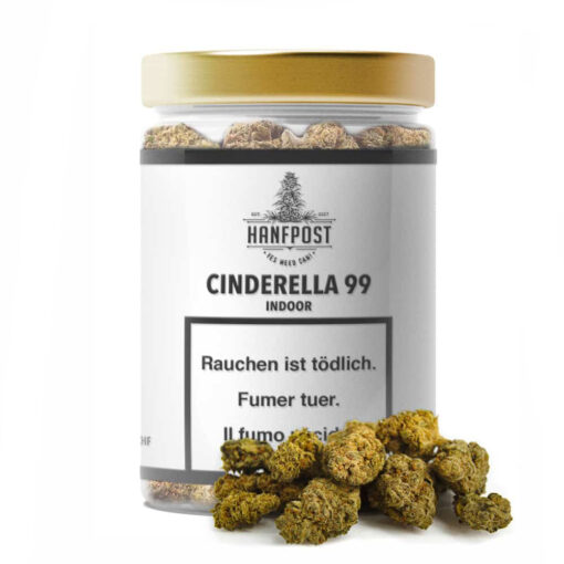 Hanfpost Cinderella 99 15 g Indoor