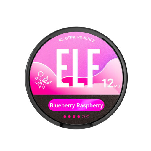 Elfbar ELF Snus Blueberry Raspberry – Slim-Nikotinbeutel mit Beerengeschmack & 12 mg/g Nikotin