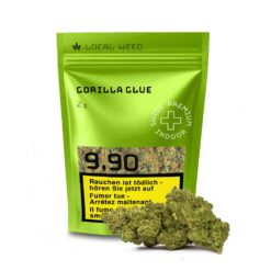 Nahaufnahme der CBD-Blüten Gorilla Glue – hellgrüne, dichte Knospen mit orangenen Trichomen, lokal angebaut in der Schweiz.