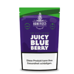 Hanfpost CBD Vape Cartridge - Juicy Blueberry 1ml