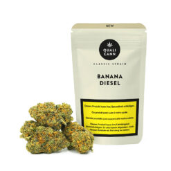 Banana Diesel CBD Blüten 8g von Hanfpost – hochwertige CBD-Blüten mit fruchtigem Bananenaroma und würzigen Diesel-Noten.